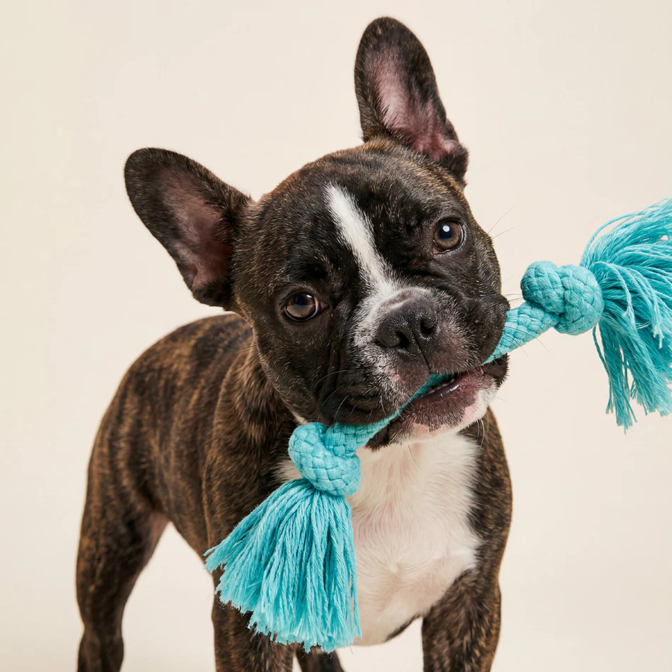 Dri-Tech Rope - Image 6