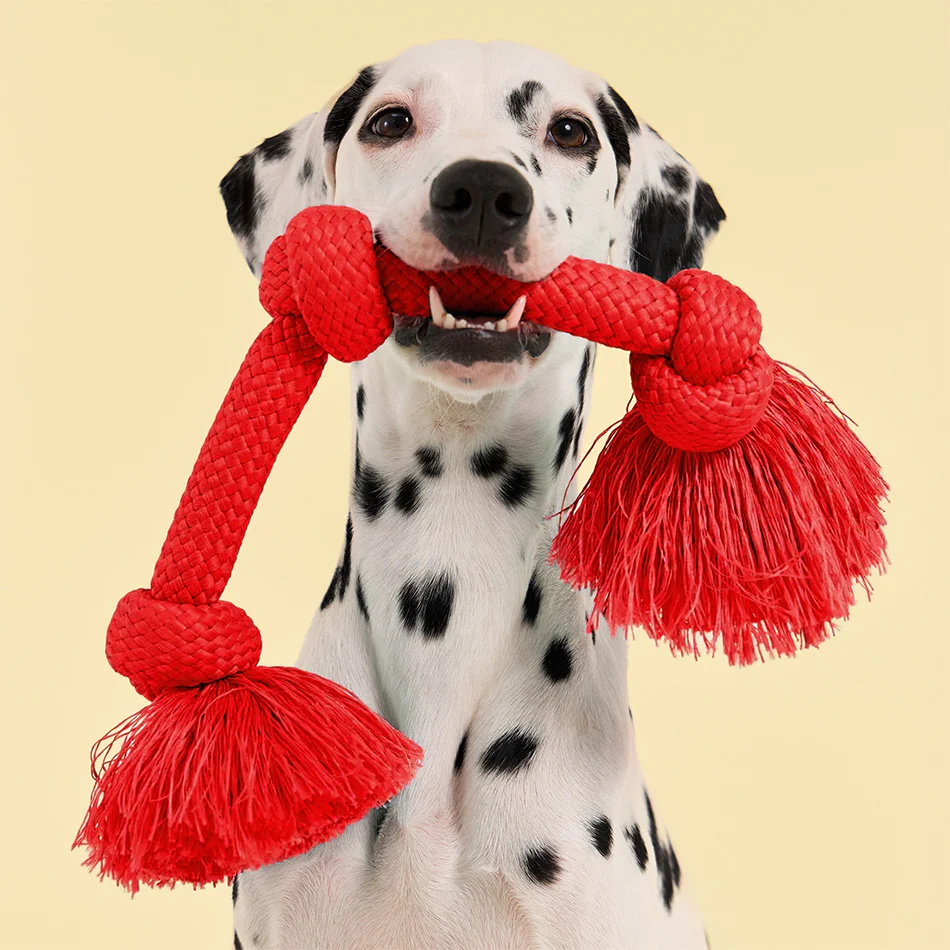 Dri-Tech Rope - Image 5