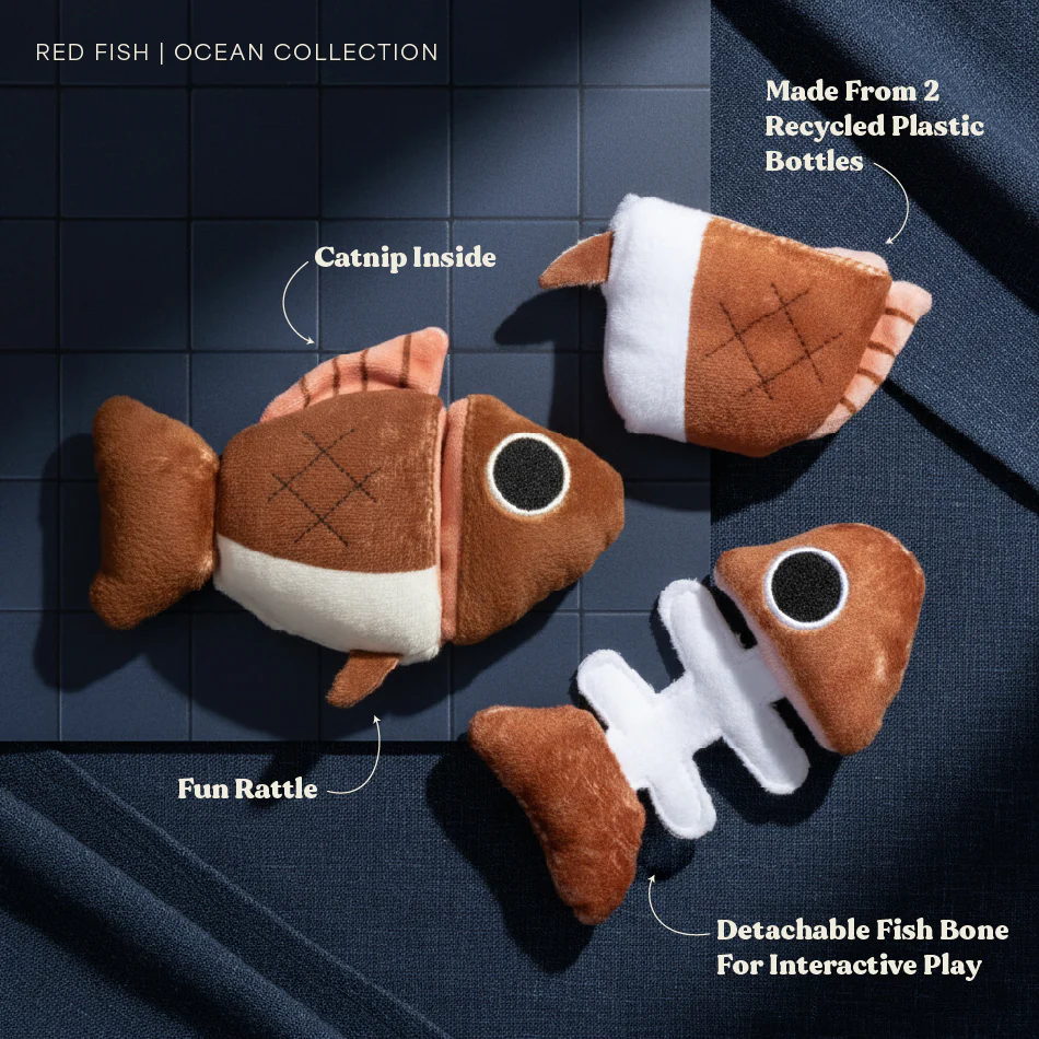 Frankie the Fish Puzzle - Image 2