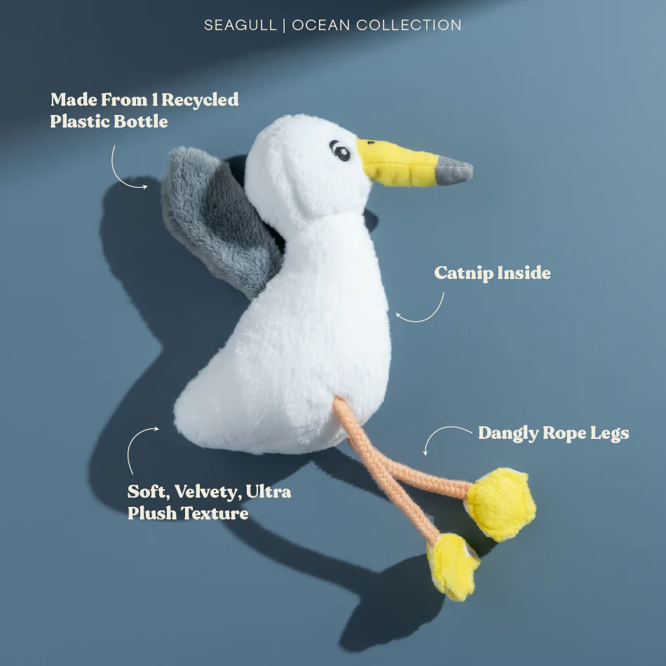 Sally the Seagull - Image 2