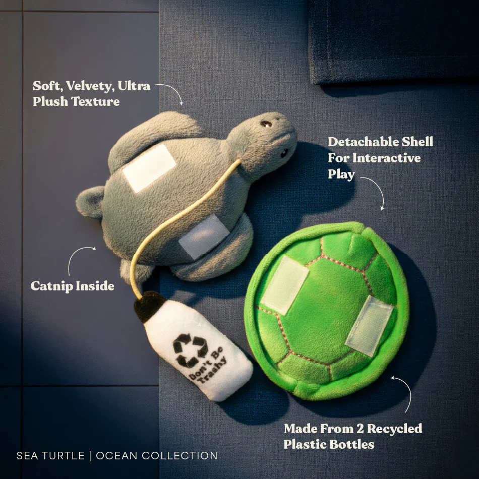 Tammy the Turtle Puzzle - Image 2