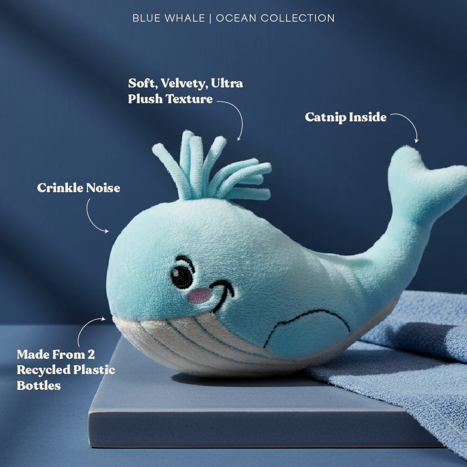 Wendy the Whale Kicker - Image 2