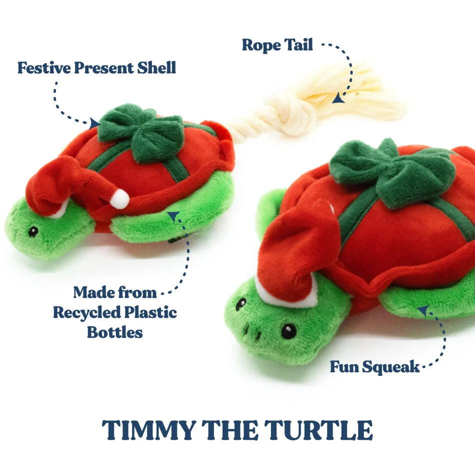 *Limited Edition* Timmy the Turtle - Image 2