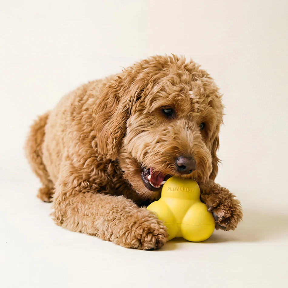Squeaky Bounce Ball - Image 15