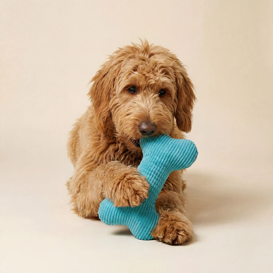 Plush Squeaky Bone - Image 4