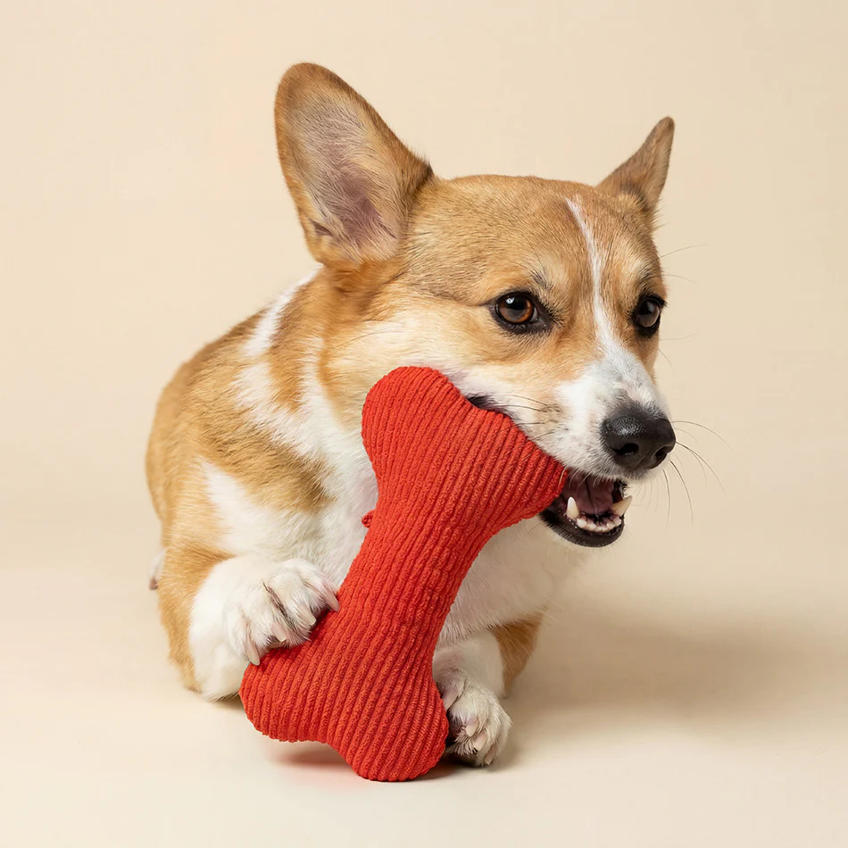 Plush Squeaky Bone - Image 8