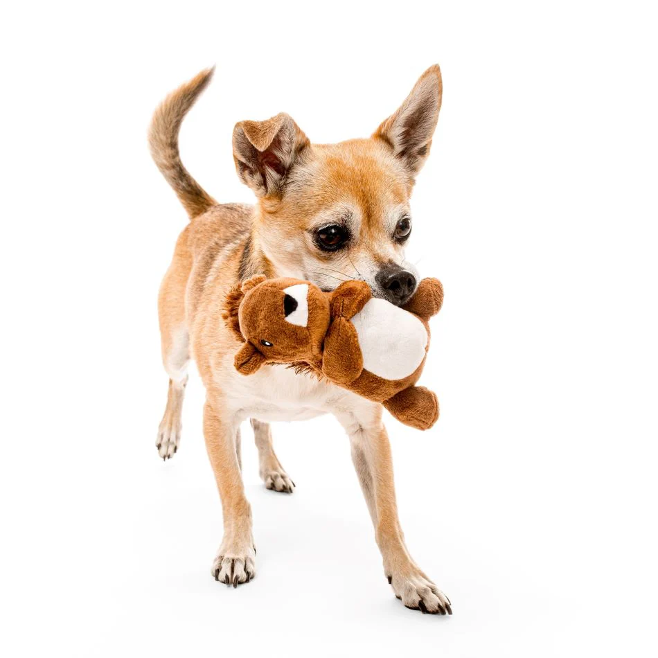 Plush Squirrel - Image 3