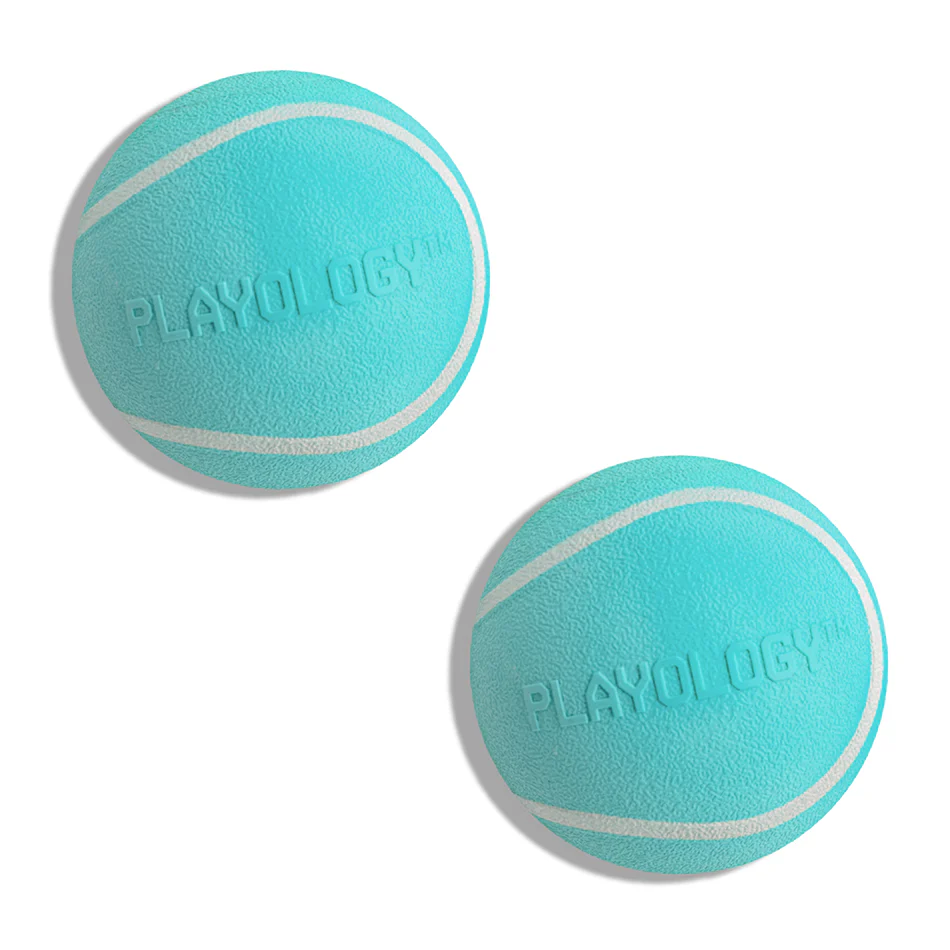Squeaky Chew Ball 2-Pack - Medium