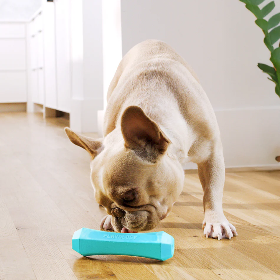 Squeaky Chew Stick - Image 8