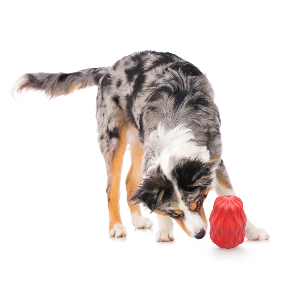 Squeaky Pinecone - Image 5